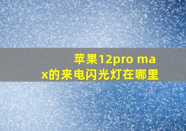 苹果12pro max的来电闪光灯在哪里